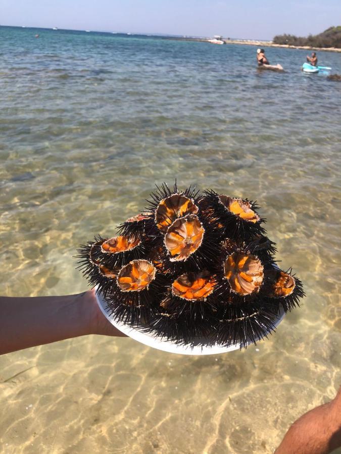 Salento Casa Vacanza Il Focolare Torchiarolo Exteriér fotografie